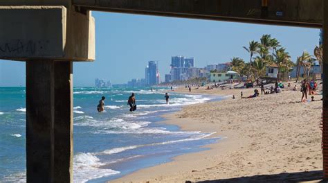 Dania Beach SEO Local .